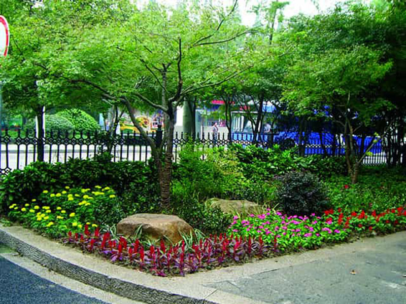 園林綠化養(yǎng)護